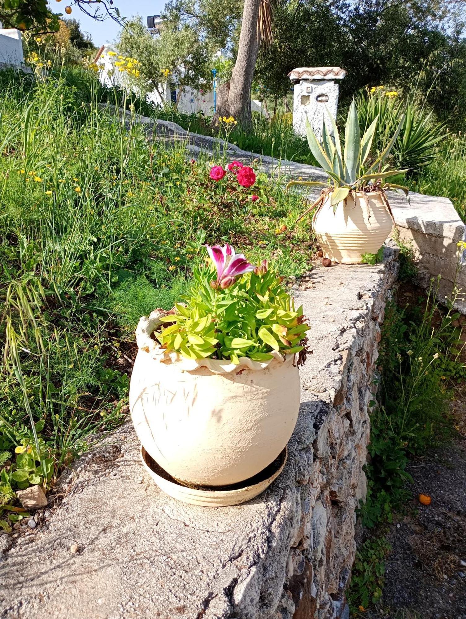 ArménoiStefanos Gardenアパートメント 部屋 写真